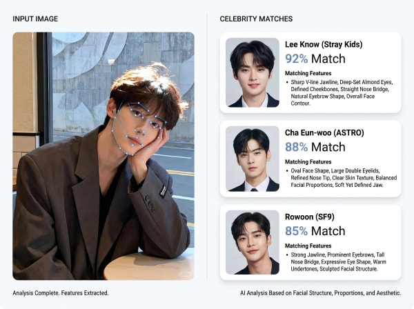 얼굴 유사성을 갖춘 연예인 쌍둥이 찾기 예시 결과