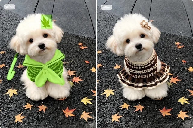 AI Image Inpainting Tool replaces a dog's outfit and adds a flower hair clip