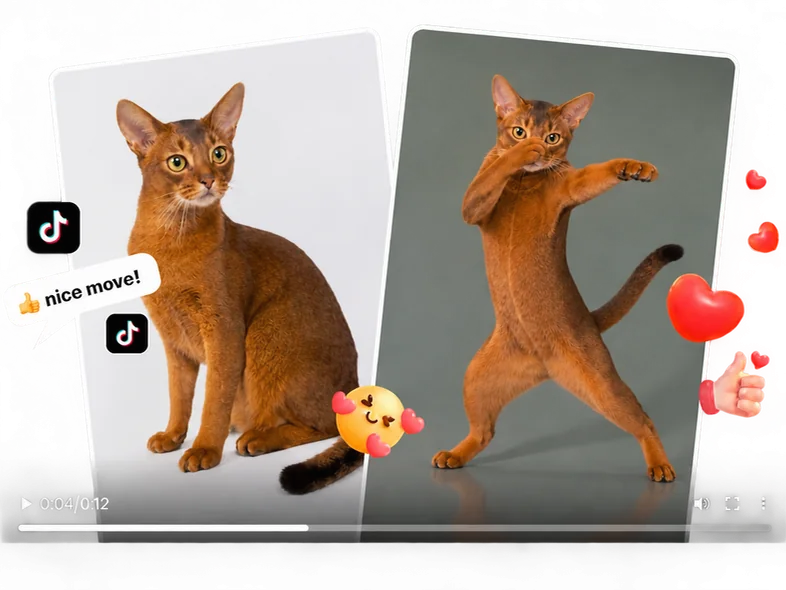 Foto de un gato y resultado Scuba Dance animado en una vista previa para redes sociales