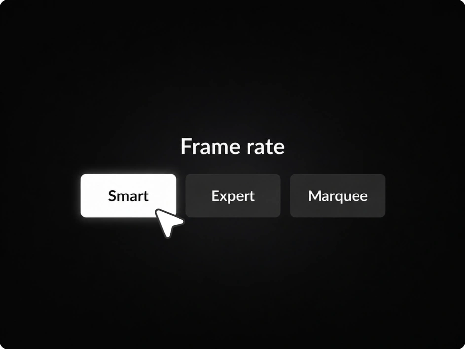 用于选择视频文字移除模式的 Smart、Expert 和 Marquee 选项